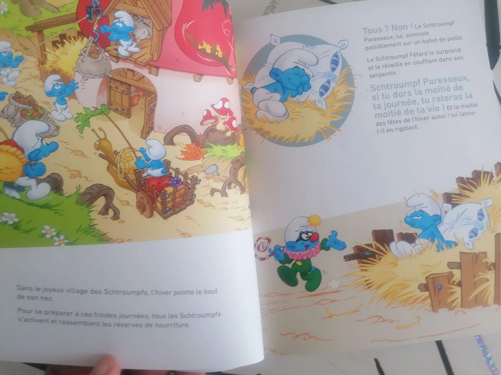 Levert de schtroumps 📘 – photo 9